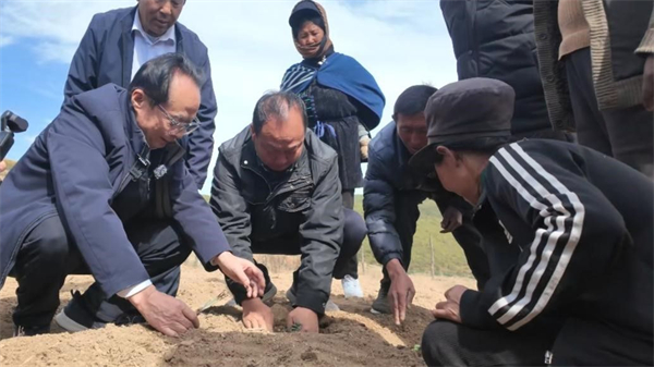 1772434824229152.jpg 3.jpg